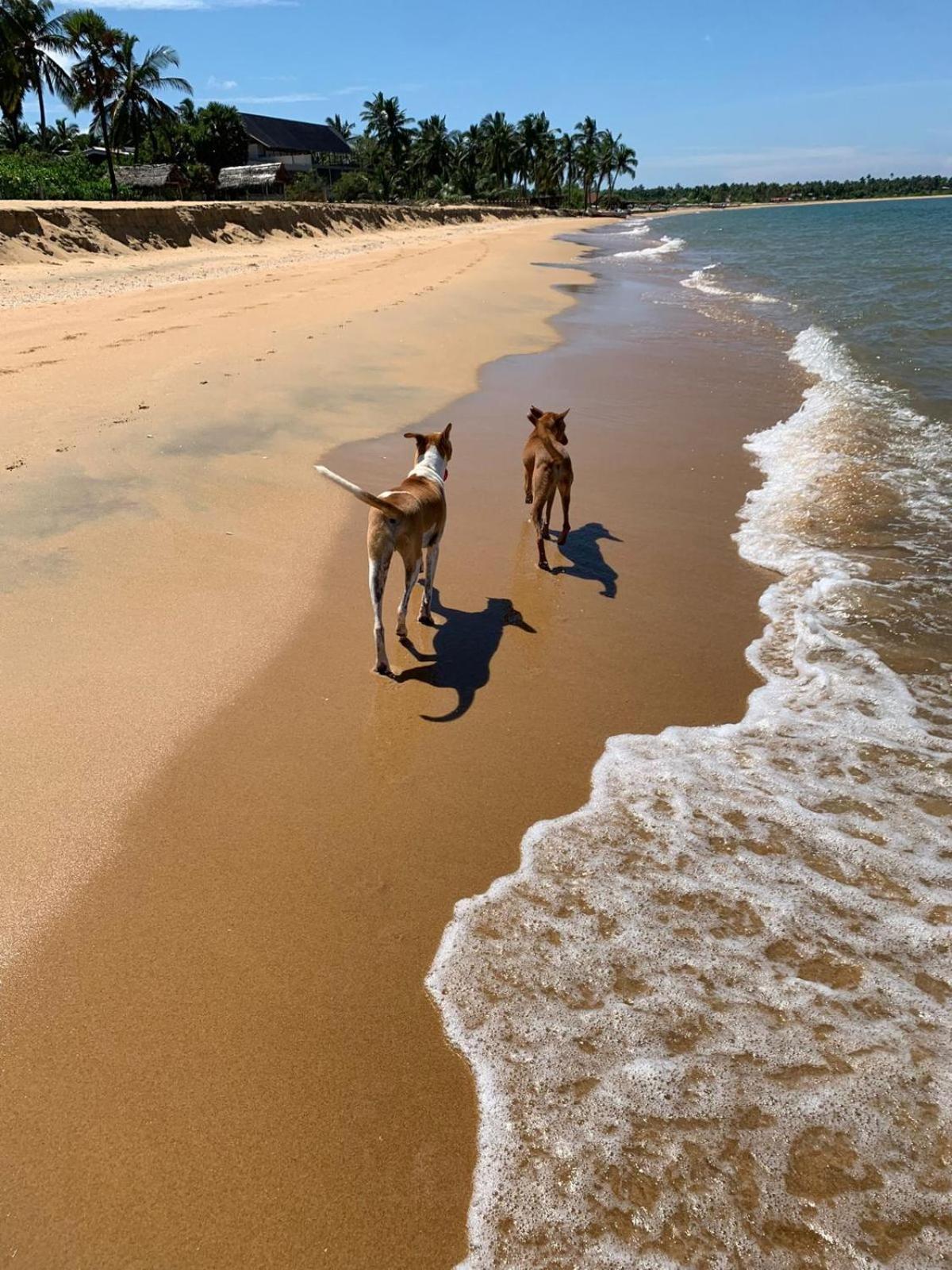 Sea Sand Resort Kalpitiya Buitenkant foto