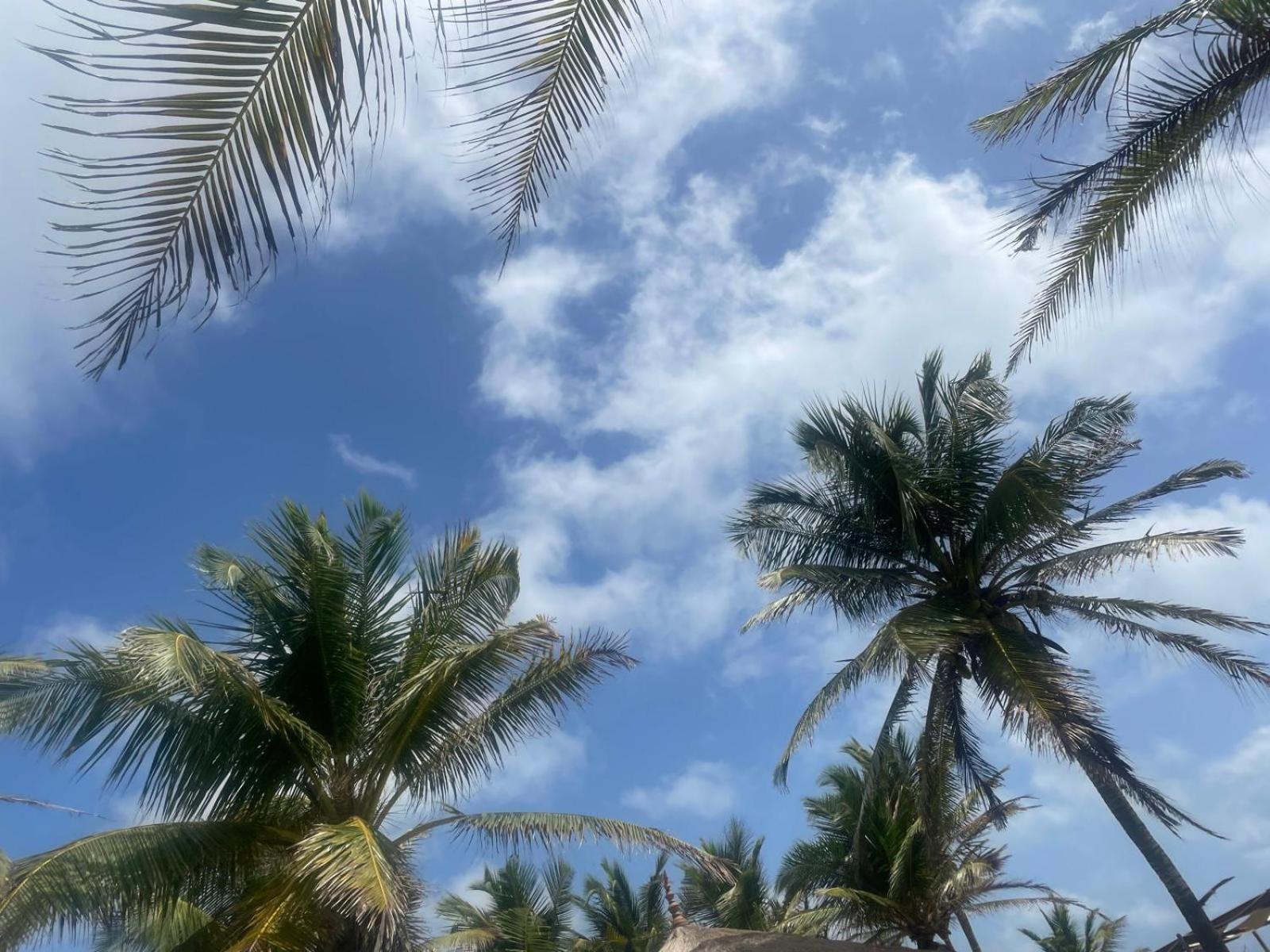Sea Sand Resort Kalpitiya Buitenkant foto