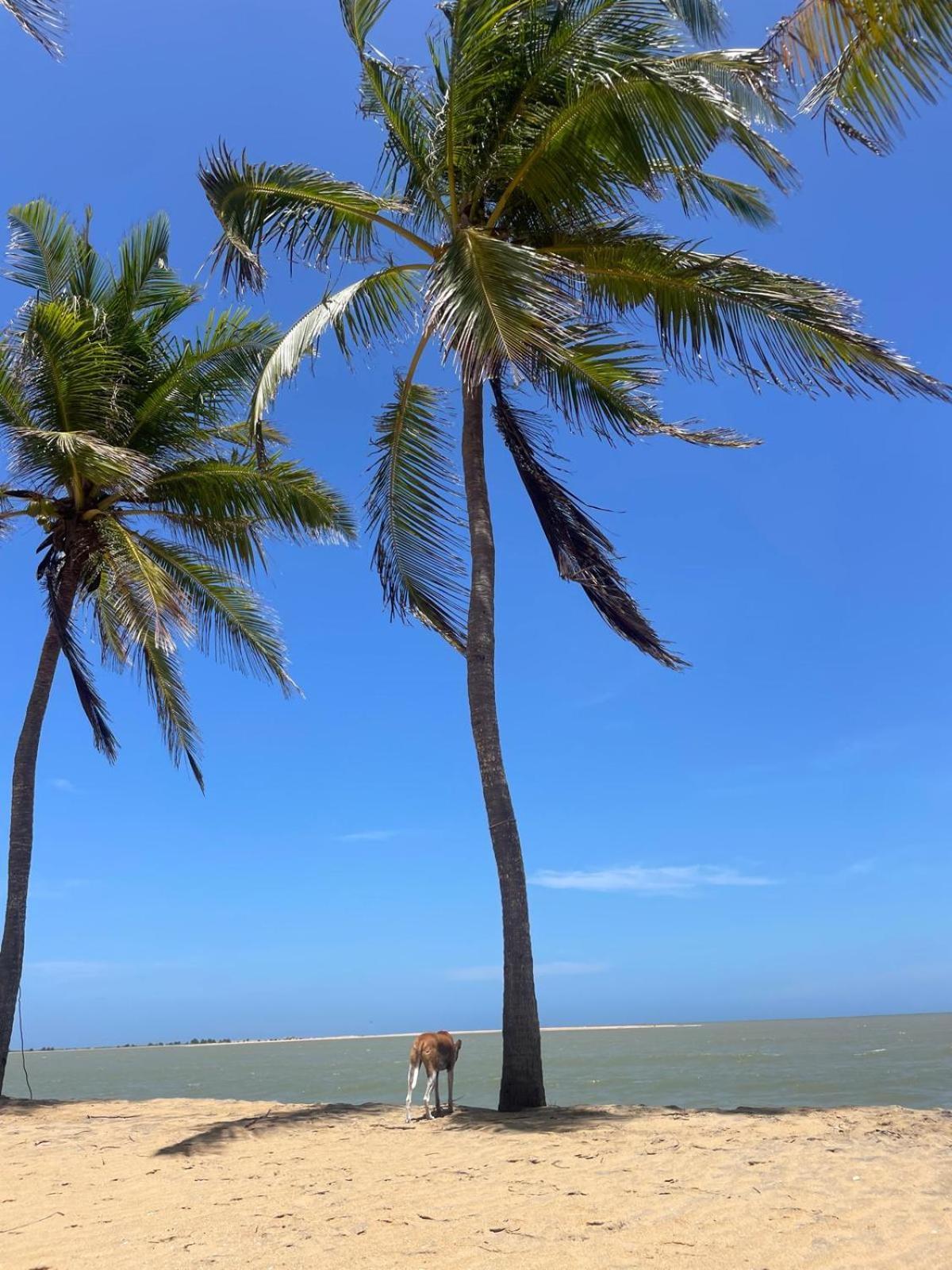 Sea Sand Resort Kalpitiya Buitenkant foto