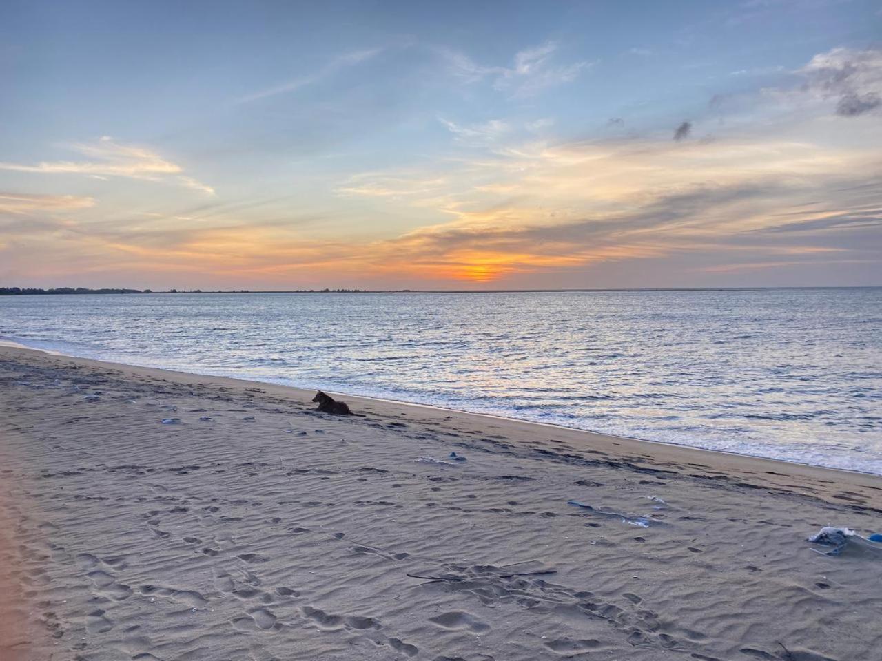 Sea Sand Resort Kalpitiya Buitenkant foto